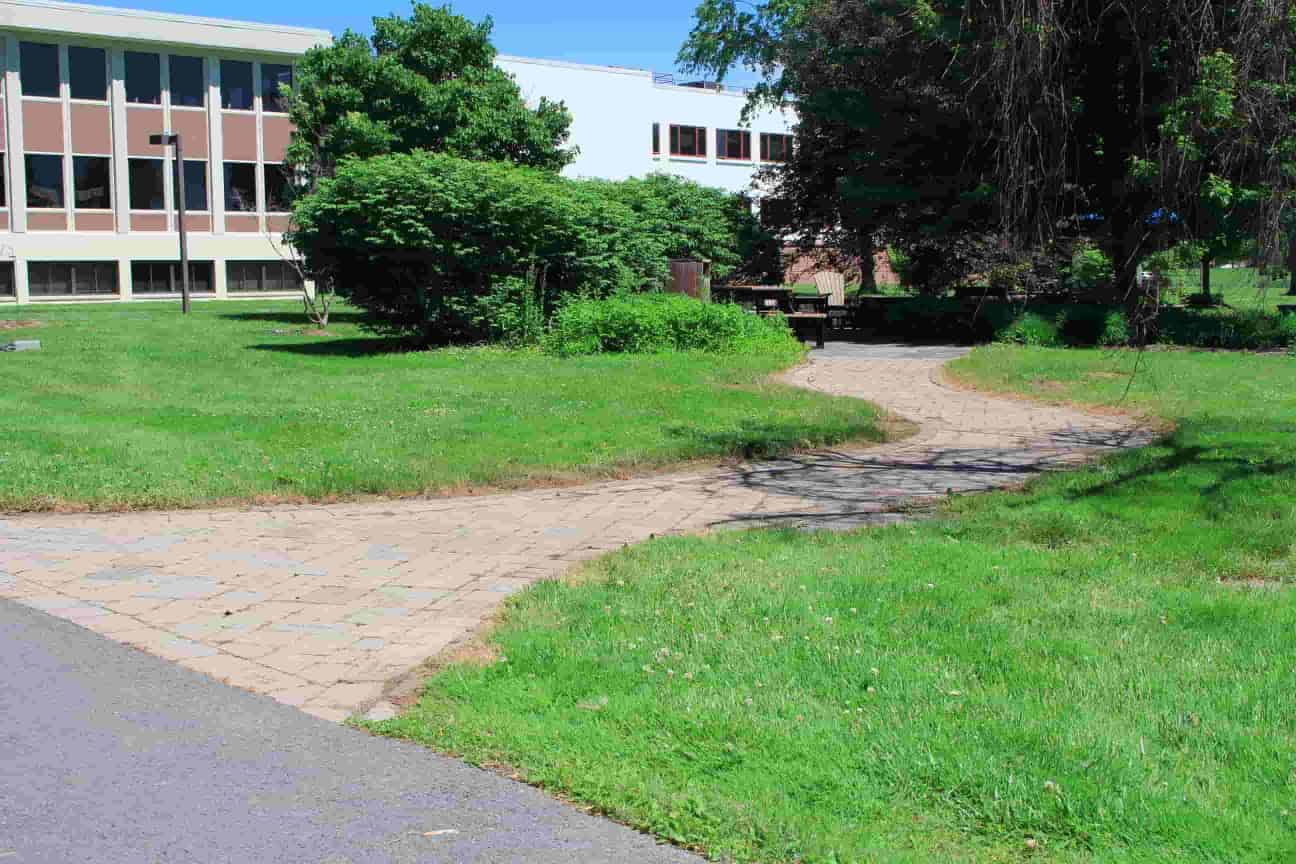 Path to the Memorial Grove