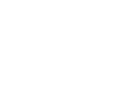 Northeast College Logo