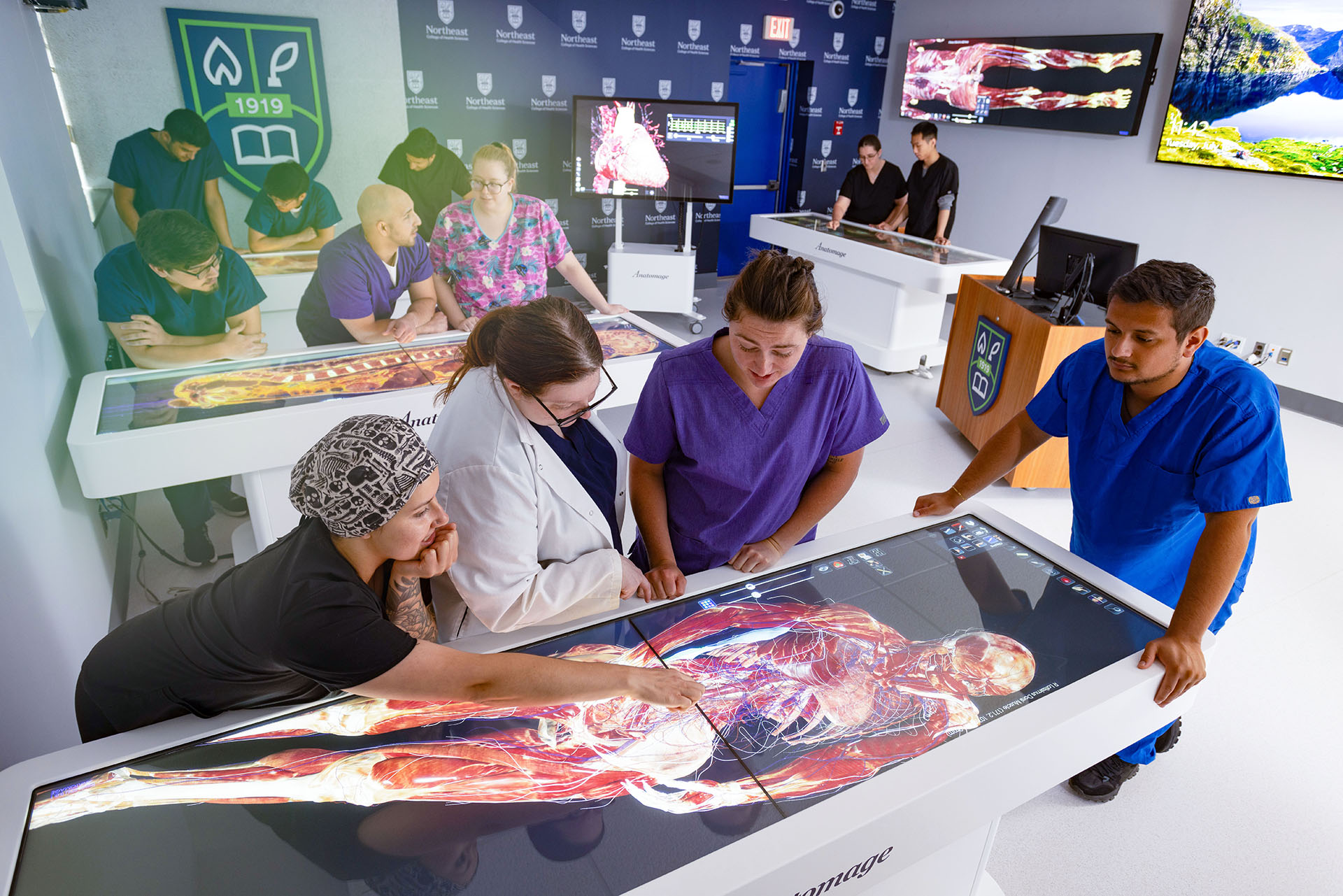 students using the anatomy research lab