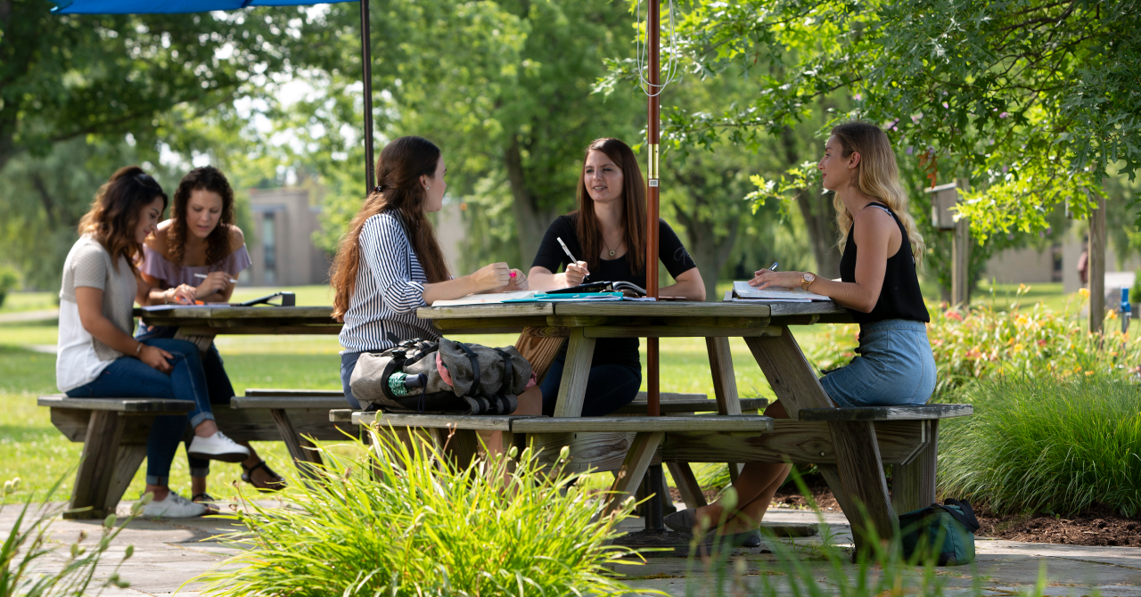 students working together at picnic tables on campus