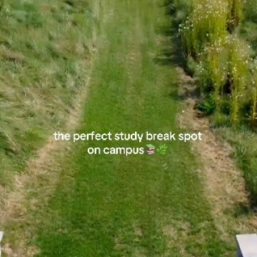 an aerial view of the walking paths on campus