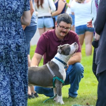 A man crouching on a campus lawn petting a gray and white dog on a green harness at an outdoor event.