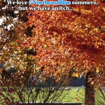 Vibrant orange and red fall foliage over a campus picnic table, with text reading "We love #NortheastBlue summers, but we have an itch…"